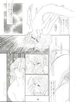 Page 43 of Denkou