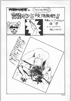 Page 13 of Paraselene