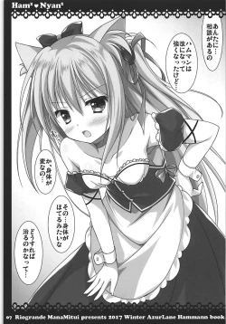 Page 4 of HamHamNyanNyan