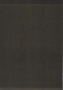 Page 14 of Netoge no Yome wa Game-nai de wa H na Me ni Awanai to Omotta?