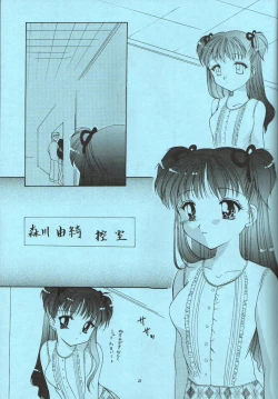 Page 24 of ESTIMA