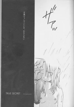 Page 5 of TRUE SECRET