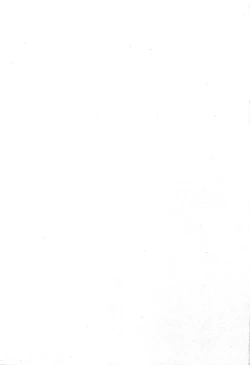 Page 2 of SHOTADAY NIGHT FEVER