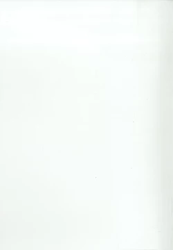 Page 87 of Touhou Chireidon