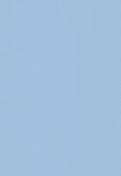 Page 2 of NO DAY BUT TODAY.