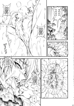 Page 217 of Solo Hunter-tachi no Seitai