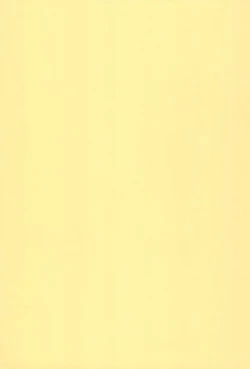 Page 11 of Rokusai+2