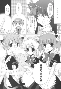 Page 8 of Onee-sama to Nekomimi Soudou