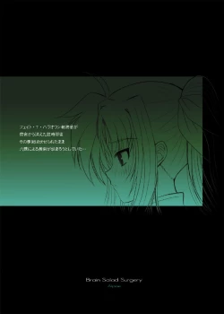 Page 4 of FATE FIRE WITH FIRE Book. II