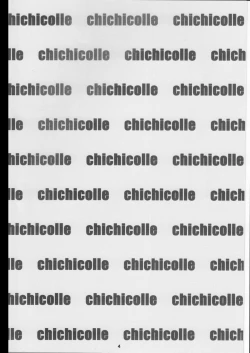 Page 4 of Chichicolle