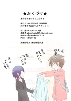 Page 20 of Saikin Otouto ga Moesode Yametan Dakedo