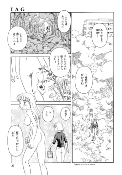 Page 37 of TAG