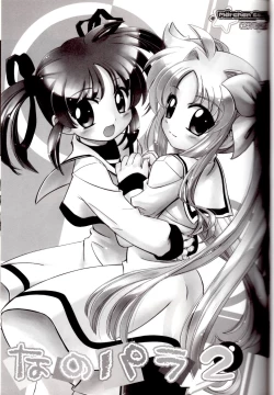 Page 2 of Nano Para 2