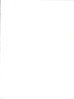 Page 2 of Ruli Ruli Photo File