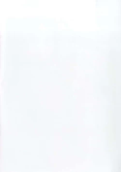 Page 2 of Toroama Rize o Meshiagare 2