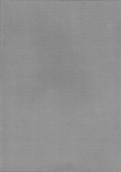 Page 4 of Pachunii no Himitsu