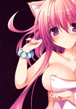 Page 26 of Kenage Nekomusume Yuagari Ecchi Hen Plus