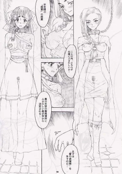 Page 55 of DRAGONQUEST nirvana