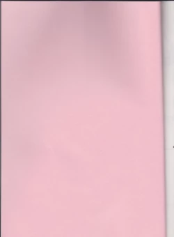 Page 2 of Daisukina no wa daredesu ka?