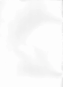 Page 2 of Kawaii wa Seigi!