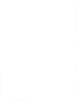 Page 36 of KITSCH 21th Issue