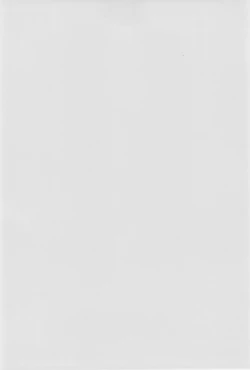 Page 4 of Futon SUPER GUTS SHINOBU