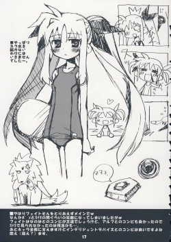 Page 16 of NANOHAHON