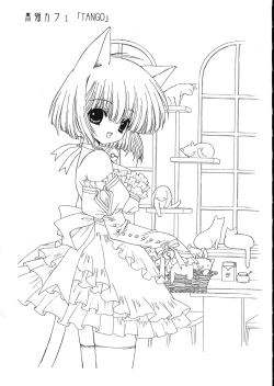 Page 7 of Ramiya Ryou Illustration Gengashuu 5