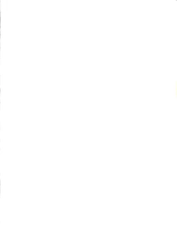 Page 2 of V-TIC MAX 3