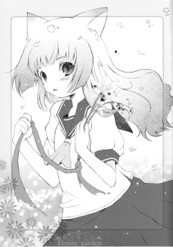 Page 47 of Flower garden