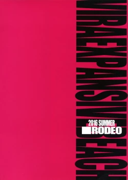 Page 2 of VIRAEXPANSIVEBEACH