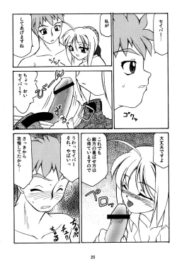 Page 24 of Fate/Luck GEAR material