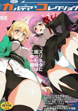 Download WakuWaku Chaldea Collection