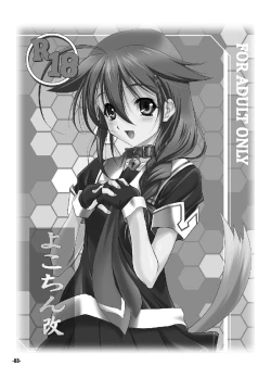 Page 2 of Yokochin Kai