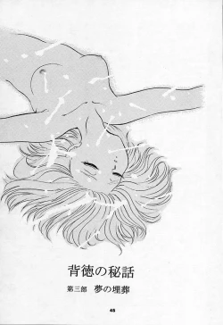 Page 43 of SHADOW CANVAS 3