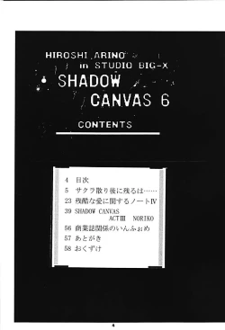 Page 3 of SHADOW CANVAS 6