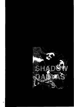 Page 31 of SHADOW CANVAS 9