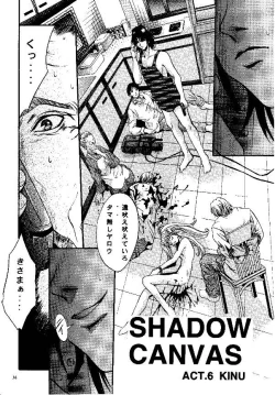 Page 33 of SHADOW CANVAS 9