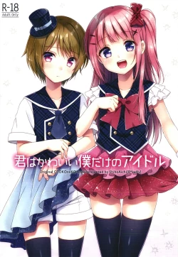 Page 2 of Kimi wa Kawaii Boku dake no Idol | 你就是只属于我的可愛偶像