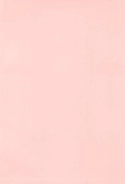 Page 4 of Tsubomi no Ana