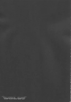 Page 24 of VALKYRIE SLAVE