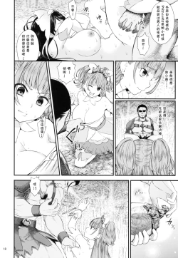 Page 19 of Seidorei Senki