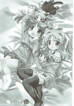 Page 2 of Nano Para 10