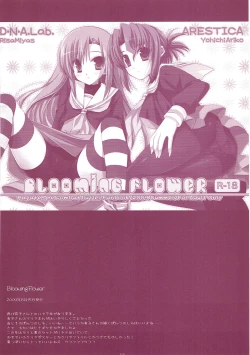 Page 117 of Classic 5