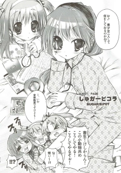 Page 21 of RORIMANI.01