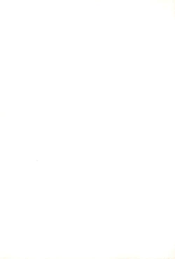 Page 87 of Ojamajo Paradise!