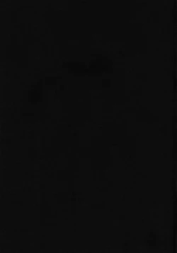 Page 24 of Kijirushi