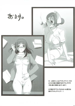 Page 20 of Pretty de Cure Cure na Babaa-tachi