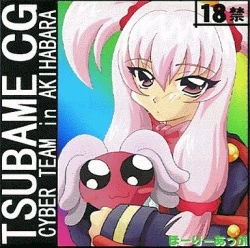 Page 1 of TSUBAME CG CYBER TEAM in AKIHABARA