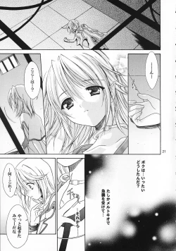 Page 20 of Sairoku Symphonia